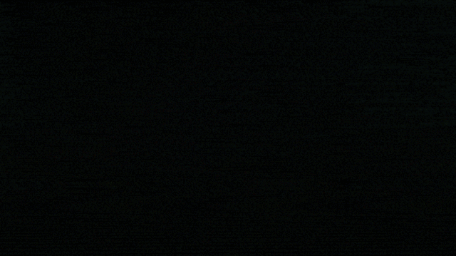 Mayflower leaves for America