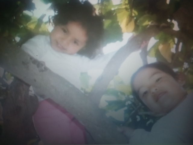 cuando mi prima me enseño a trepar un árbol