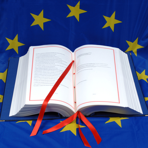 El Tratado de la Unión Europea