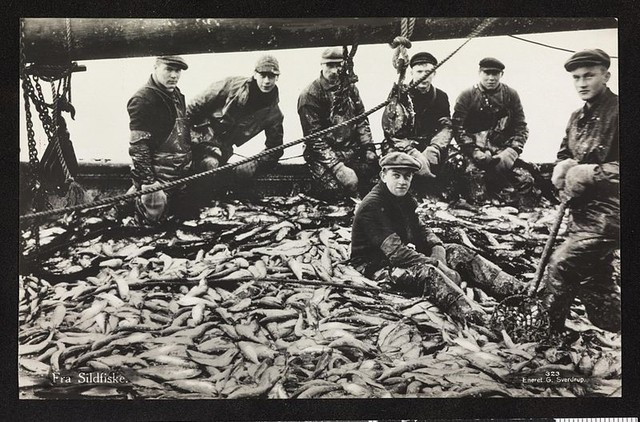 Ekspansjon i fiske og fiskeeksport