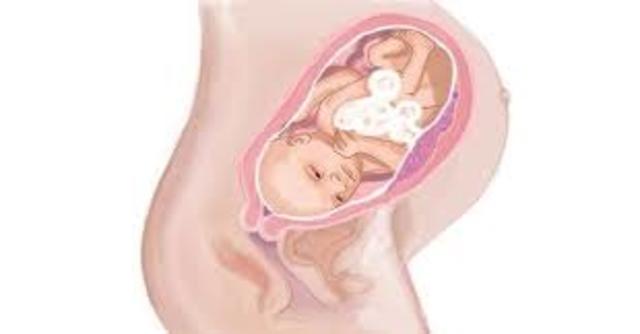 Trimester 3: Month 9