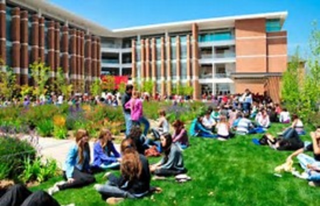 ENTRAR A LA UNIVERSIDAD