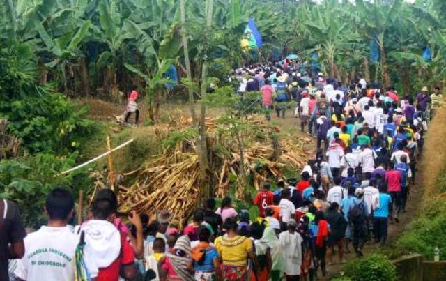 Incremento de la migración de las comunidades emberas
