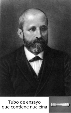 Friedrich Miescher