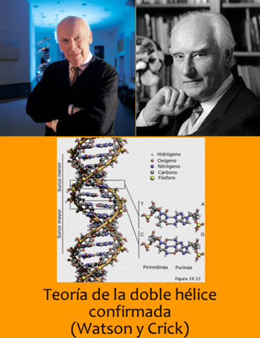 James Watson y Francis Crick