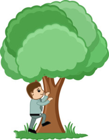 Cuando era joven, escalaba árboles