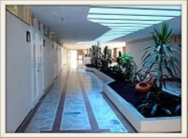 PROYECCIÓN DE NUEVO ENFOQUE