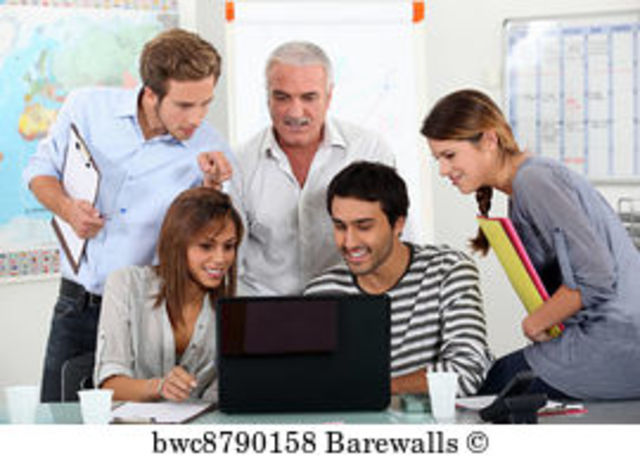 Implement Coding Mentor Program