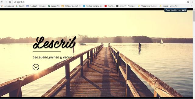 Creacion de la pagina web