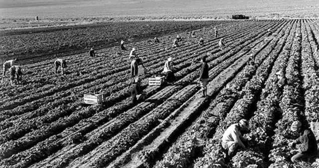 Became a migrant worker