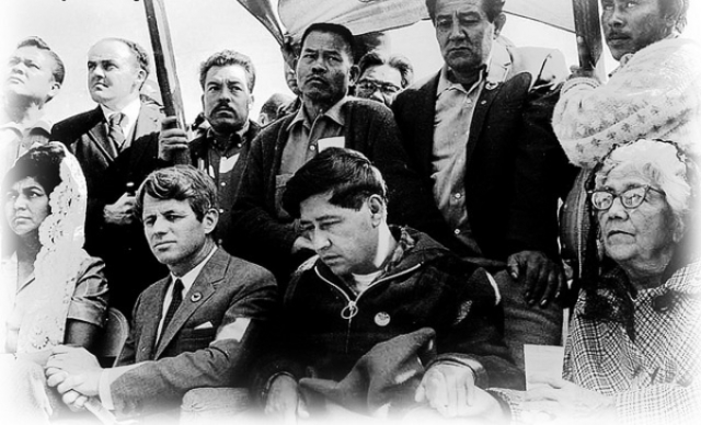 Union Became Known As UFWA