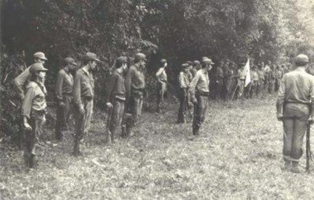 Los guerrilleros procomunistas ( Vietcong) aparecen en Vietnam del Sur, enseguida se aliaron con el régimen de Vietnam del Norte para tratar de derribar al gobierno de Diem.