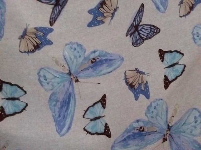 Inizio della scuola primaria di primo grado