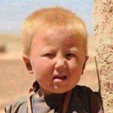 When was Donald Trump born and Where