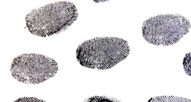 finger prints