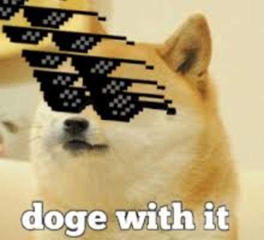 when doge got famous