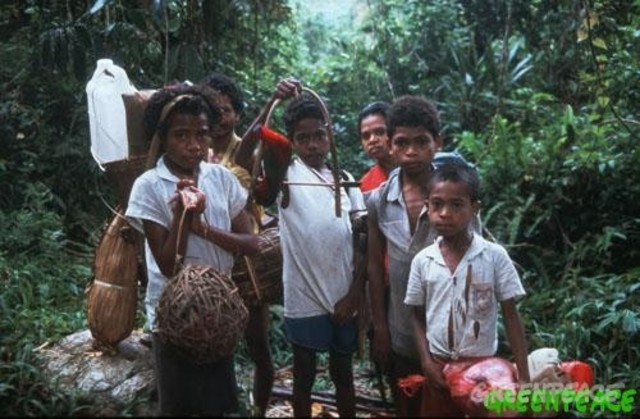 La población indígena registra un extraordinario descenso