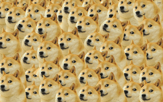 doge takes over the world