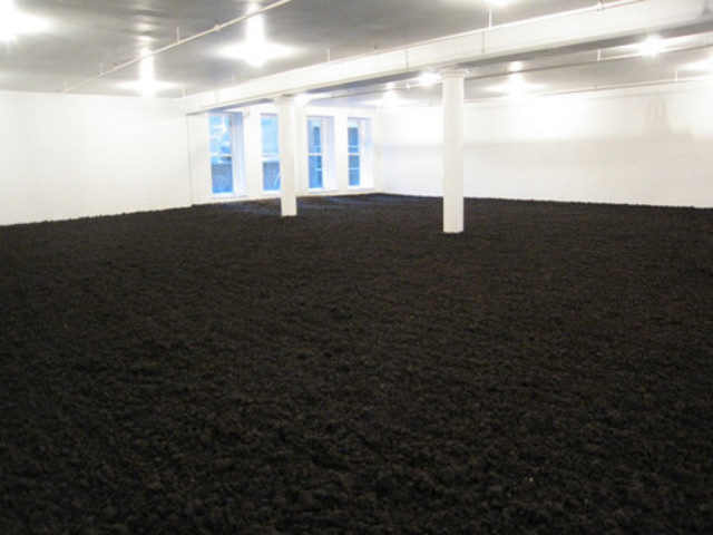 Eart-Room (Walter De Maria)