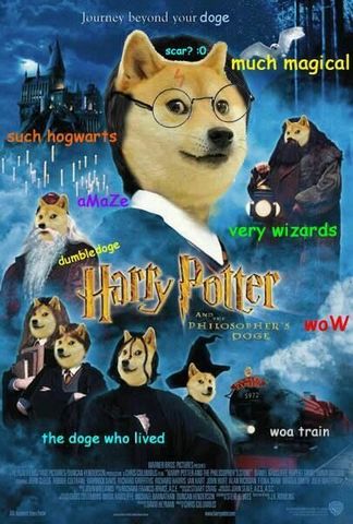 doge harry potter
