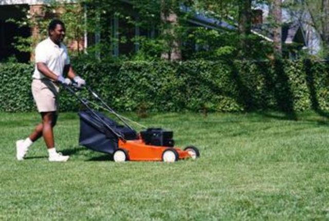 Siempre, mi padre cortaba el césped