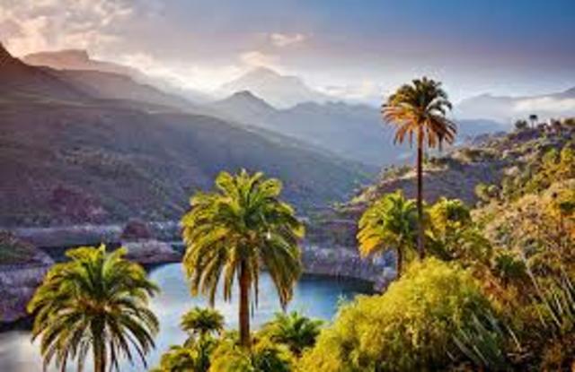 caterina va a gran canararia