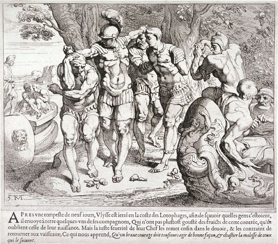 Lotus Eaters- Summary