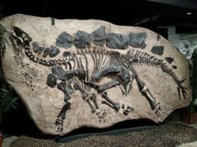 The first nearly complete dinosaur fossil is found in Haddonfield