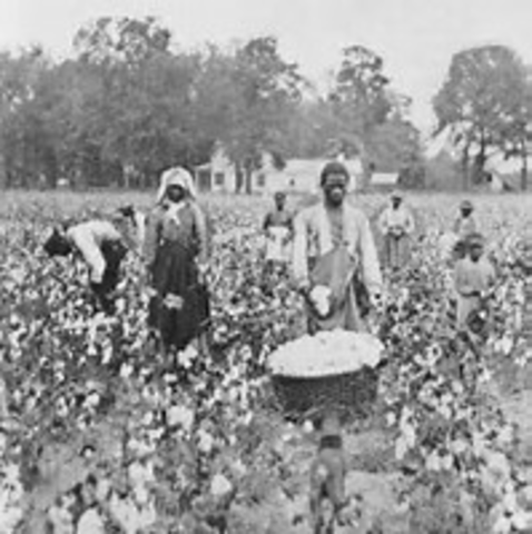 Sharecropping