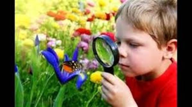 Modelo pedagógico aprendizaje significativo