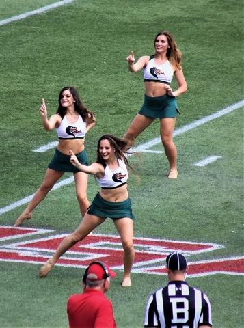 Early Adulthood: Physical/Cognitive Development