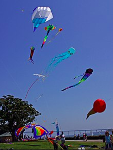 Amir and Hassan Win the Kite Competition