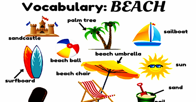 Beach Vocabulary