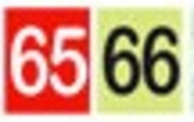 Fecha de Pago Cédulas Terminadas 65 y 66