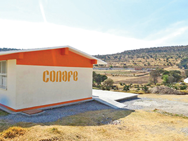 Creación de nuevos organismos educativos