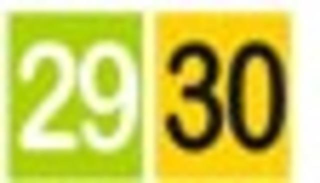 Fecha de Pago Cédulas Terminadas 29 y 30