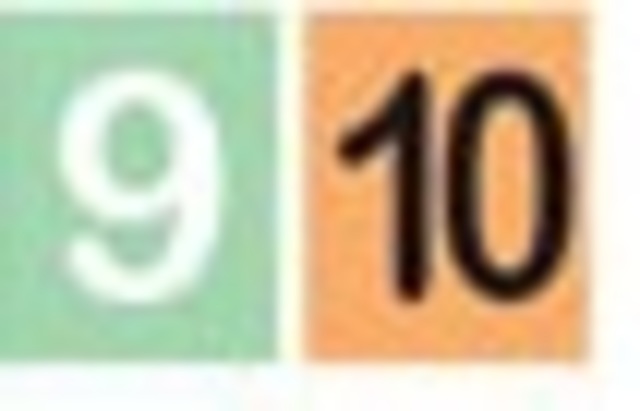 Fecha de Pago Cédulas Terminadas 09 y 10