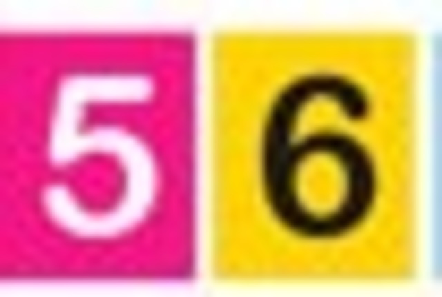 Fecha de Pago Cédulas Terminadas 05 y 06