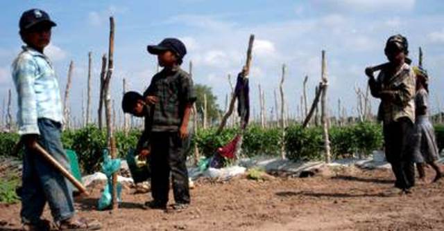 Baja eficiencia terminal