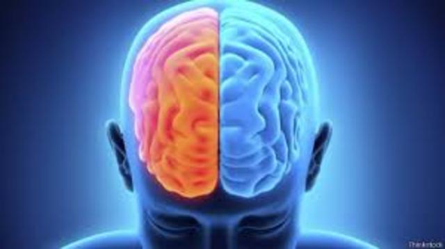 PROCESAMIENTO HUMANO