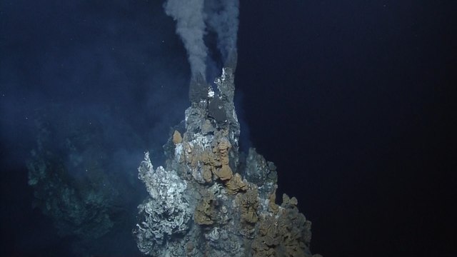 Hydrothermal Vents