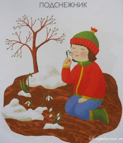 В лес за подснежниками к дню рождения бабушки