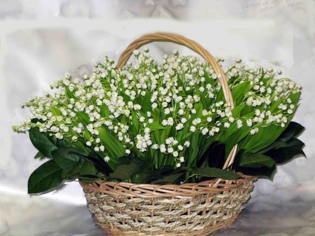 День рождения с корзиной ландышей