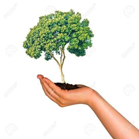 Conferencia Internacional sobre la Proteccion de los Paisajes Naturales - Berna (Suiza)