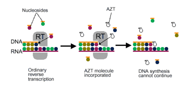 Se Usa Un Tratamiento