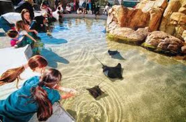 First Time At a Aquarium