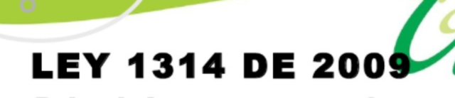 LEY 1314 2009.