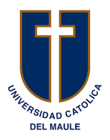 se forman las universidades catolicas
