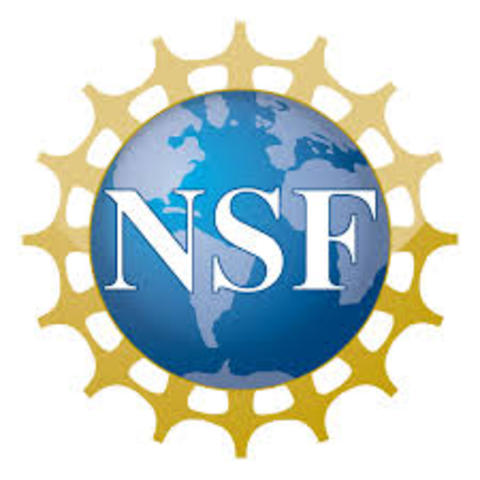 Nacional Science Foundation