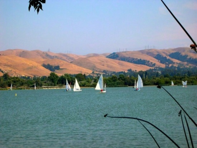 Amir and Baba escape soviet invaded Afghanistan and move to California